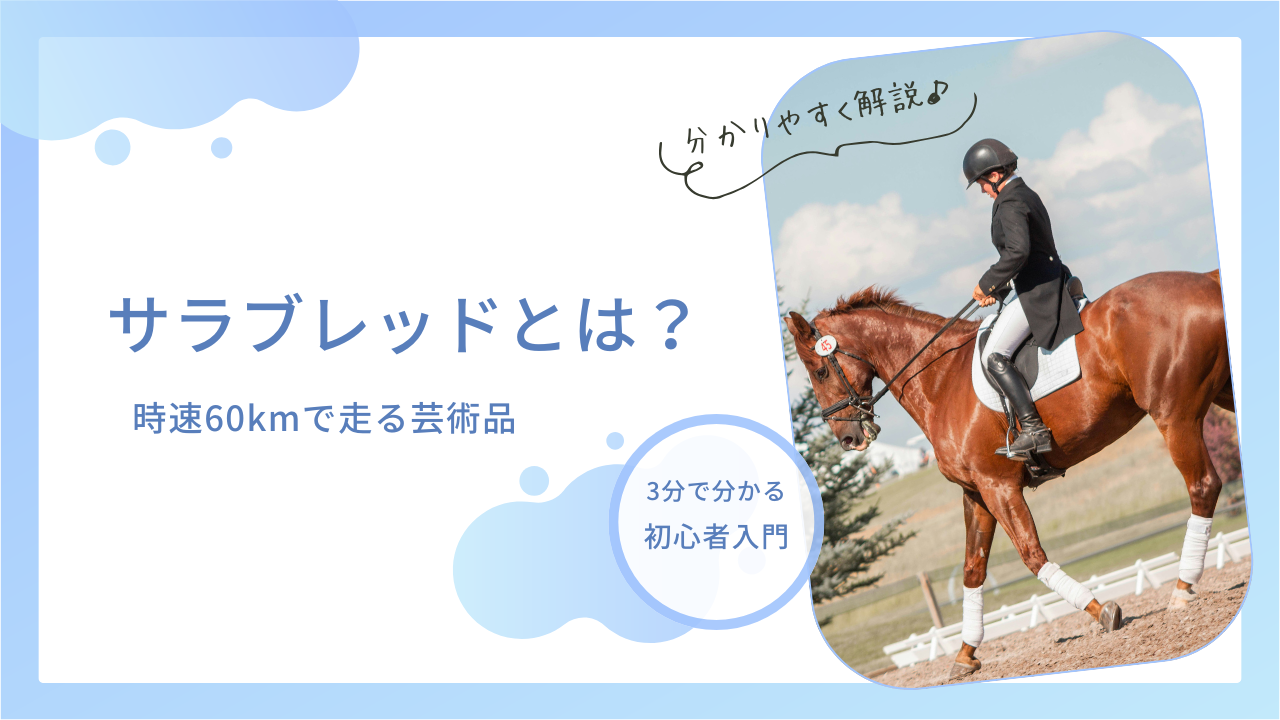 サラブレッド 意味 人間